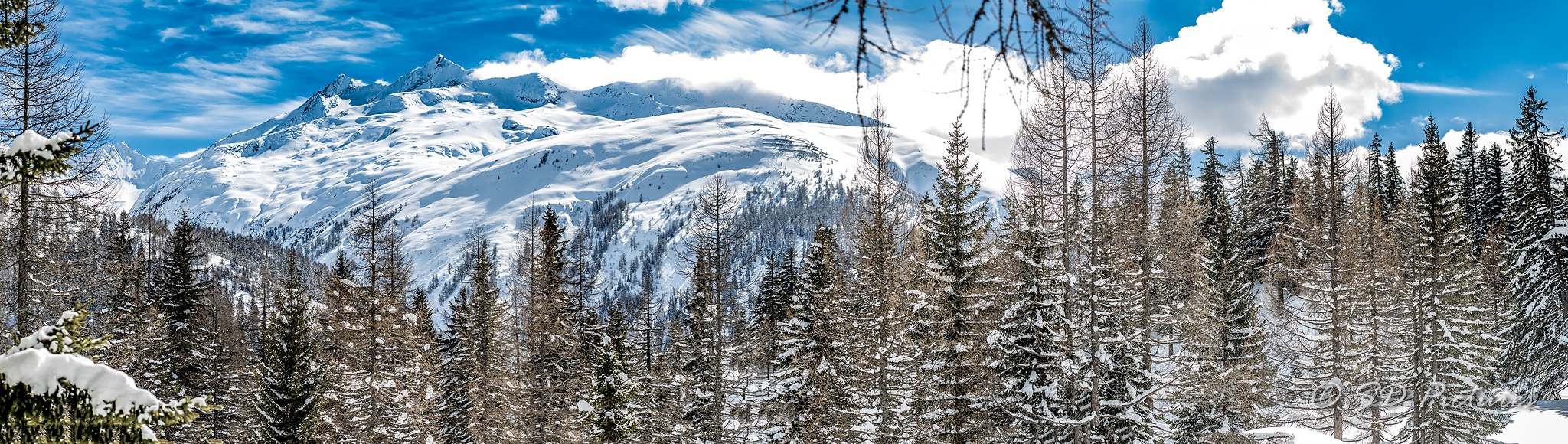 WEB  DP 1423 Pano als Smartobjekt 1 Kopie